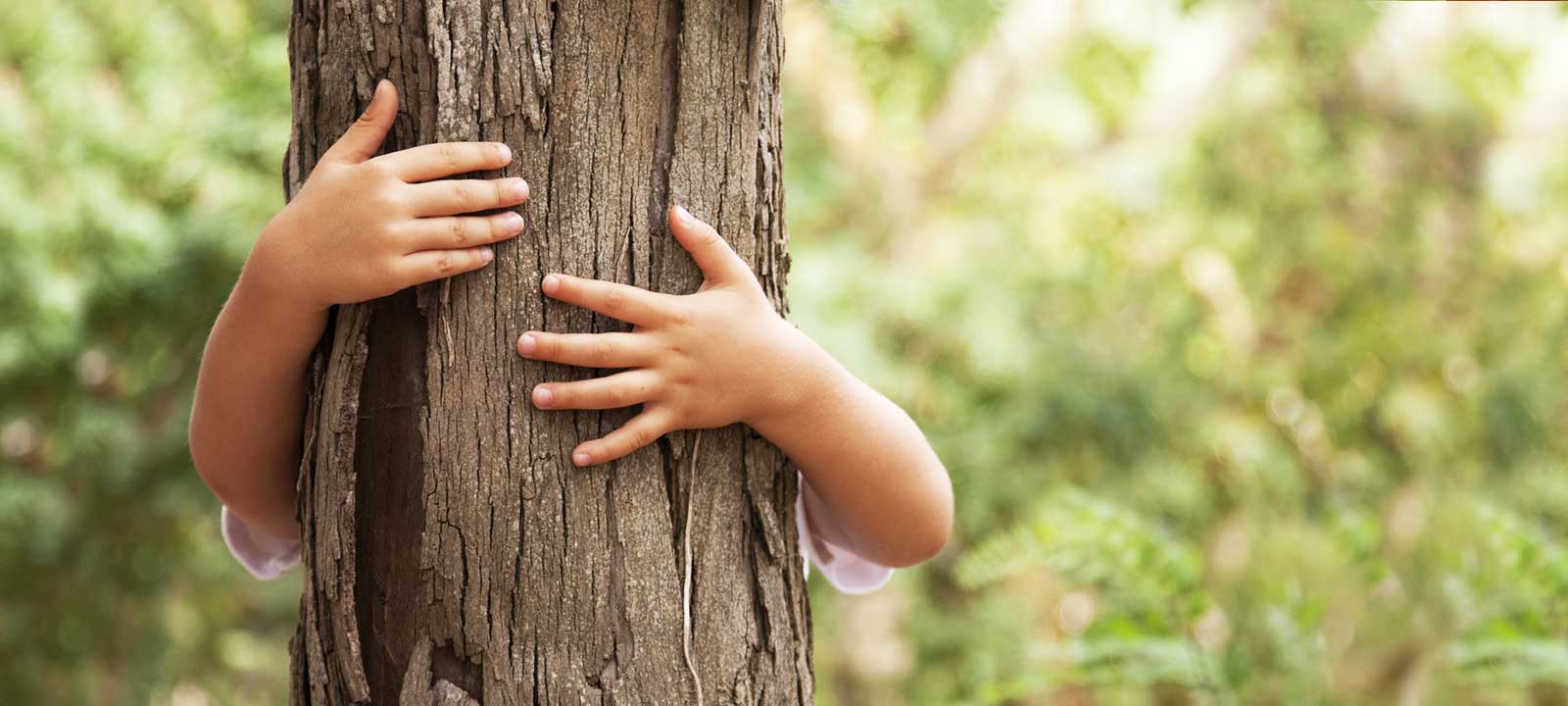 Tutto il calore del legno